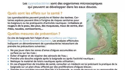 Information sur les cyanobactéries